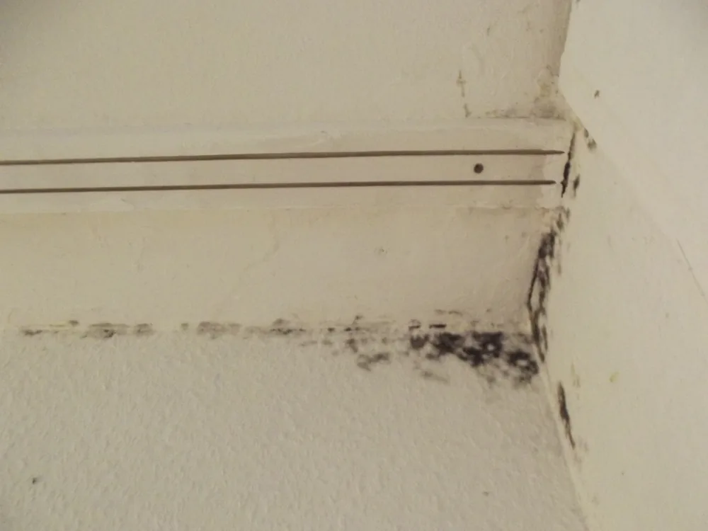 Technician in protective gear removing a mold-damaged wall in an Indian Wells home